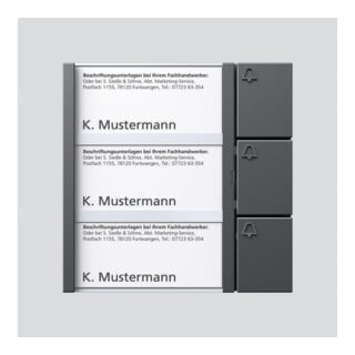Siedle Module à touches TM 612-3 DG dgr/gli