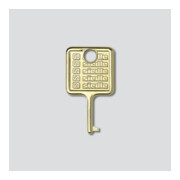 Siedle&Söhne Clé pour module d’information inox brossé IM 511-0-1