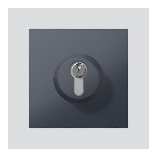 Siedle Schloss-Modul SM 611-01 anthrazitgrau