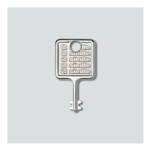 Siedle&Söhne Schlüssel f. Montagerahmen Edelstahl gebürstet MR 511/512513/514524
