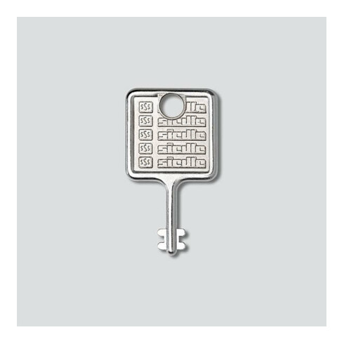 Siedle&Söhne Schlüssel f. Montagerahmen Edelstahl gebürstet MR 511/512513/514524