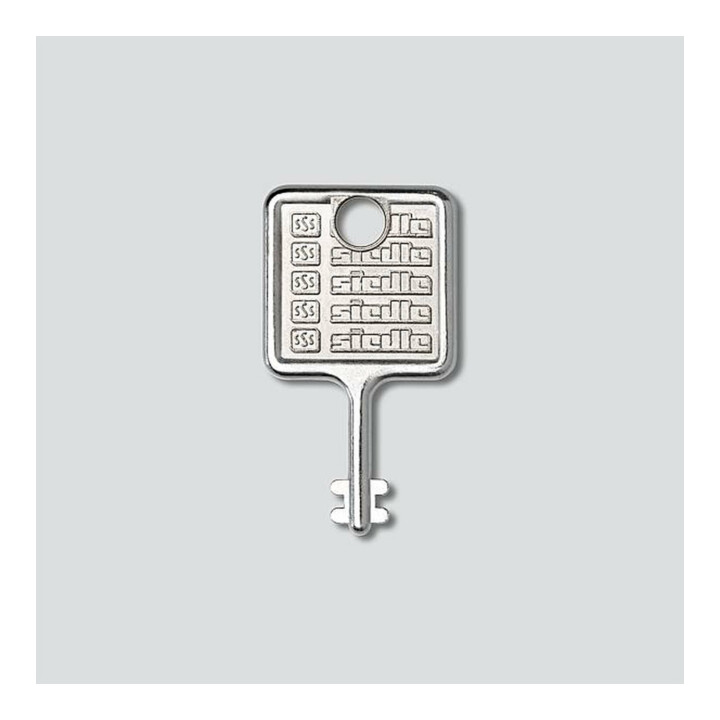 Siedle&Söhne Schlüssel f. Montagerahmen Edelstahl gebürstet MR 511/512513/514524