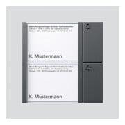 Siedle&Söhne Tasten-Modul dgr/gli TM 612-2 DG-3