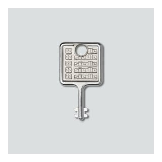 Siedle&Söhne Clé pour cadre de montage en acier inoxydable brossé MR 511/512513/514524