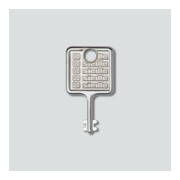 Siedle&Söhne Clé pour cadre de montage en acier inoxydable brossé MR 511/512513/514524-1