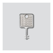 Siedle&Söhne Clé pour cadre de montage en acier inoxydable brossé MR 511/512513/514524-2