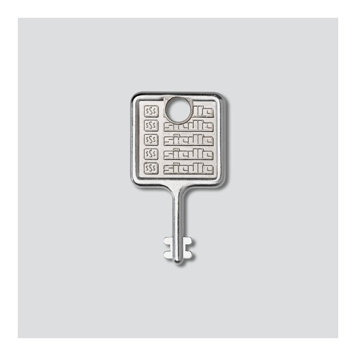 Siedle&Söhne Clé pour cadre de montage en acier inoxydable brossé MR 511/512513/514524