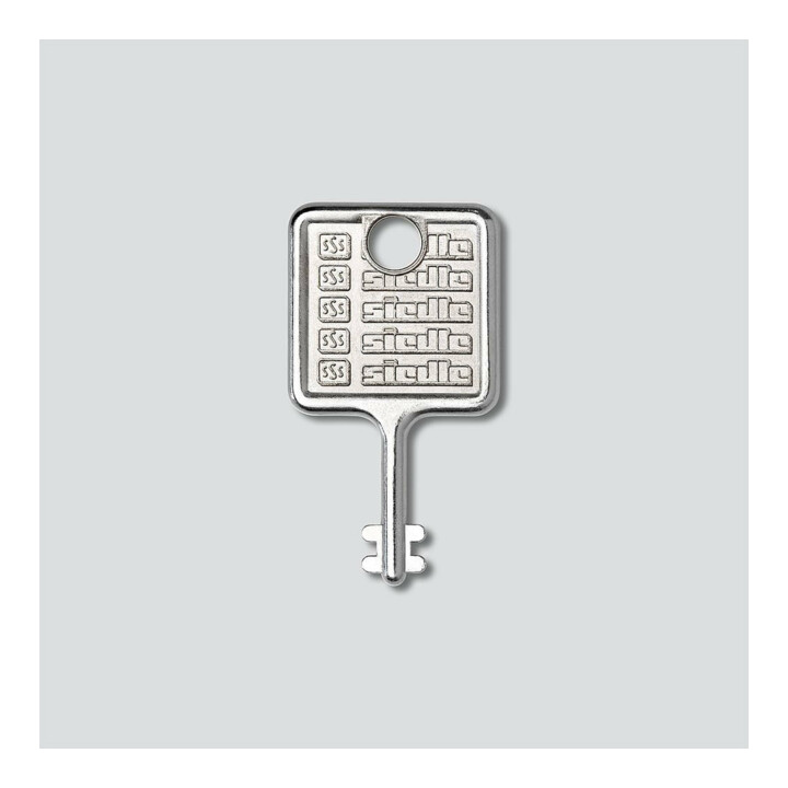 Siedle&Söhne Clé pour cadre de montage en acier inoxydable brossé MR 511/512513/514524
