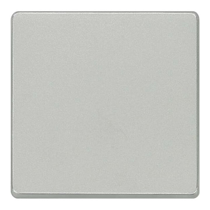 Siemens Indus.Sector Bascule pour interrupteur U/W/A Delta Vita, alu/métal 5TG6241