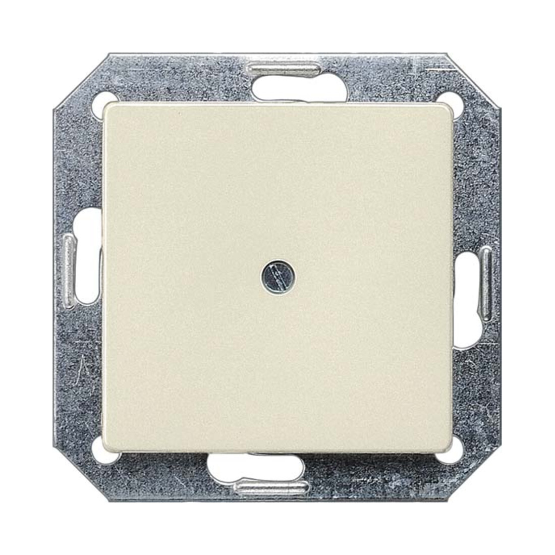 Siemens Indus.Sector Plaque aveugle 55x55 ews 5TG2588