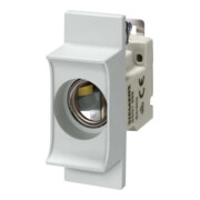 Siemens Indus.Sector Support fusible Neozed-EB D02/63A 1 pôle 5SG1653-1