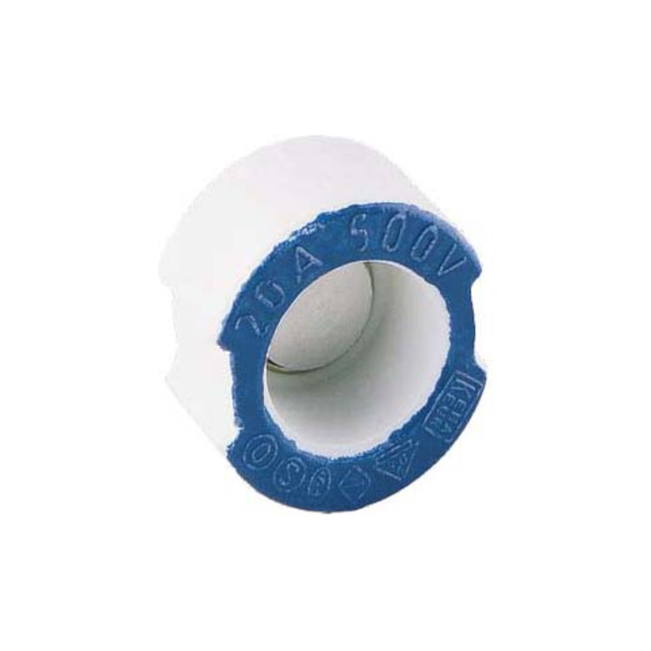 Siemens Indus.Sector Vis D-Pass DII/E27, 20A 5SH315
