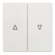 Siemens Indus.Sector Wippe m.Symbol Jalousie Delta Vita, tws 5TG6214