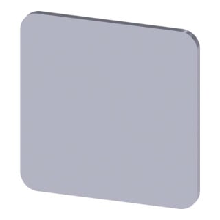 Siemens Plaque signalétique 3SU1900-0AF81-0AA0 sans inscription 22 × 22 mm argent
