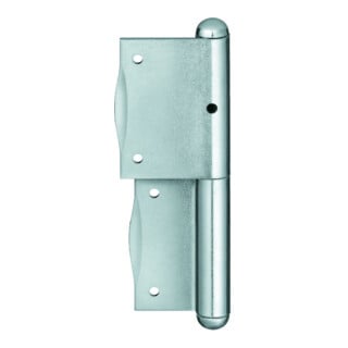 SIMONSWERK Band BAKA® C 2, 2 pcs avec axe fixe, L100mm, acier zingué