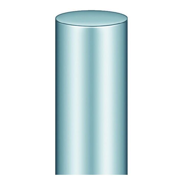 SIMONSWERK Band BAKA® C 2, 2 pcs avec axe fixe, L100mm, acier zingué