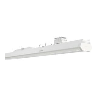 Siteco Module LED 840 DALI 52TS12DN485F