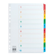 Soennecken Register 1579 DIN A4 1-10 volle Höhe Karton farbig
