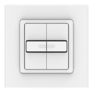 Somfy Interrupteur volet roulant double avec cadre 1800506