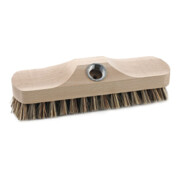Sorex