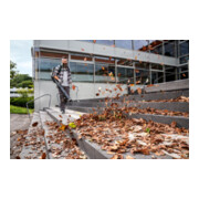 Souffleur de feuilles Kärcher LBB 1060/36 Bp-3