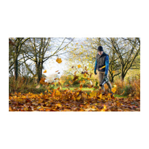 Souffleur sans fil AdvancedLeafBlower 36V-750 Bosch, 1 batterie, chargeur