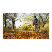 Souffleur sans fil AdvancedLeafBlower 36V-750 Bosch, sans batterie ni chargeur-4