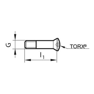 Spannschr. T20 24,00-25,99mm Gühring