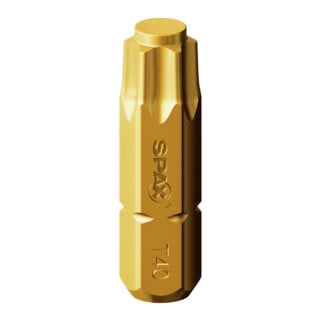Spax Cut-Case Bit T40+ SW 1/4 x 25