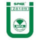 Spax Senkkopf T-STAR 10,0x300 A4 HP-4