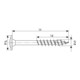 SPAX Tellerkopf T-STAR+ 6,0x100/61 Wirox-2