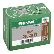 Spax Vis pour panneau arrière 3 x 30 sans tête T-STAR PLUS T10 VG-4