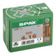 Spax Vis pour panneau arrière 4 x 16 sans tête T-STAR PLUS T10 VG-4