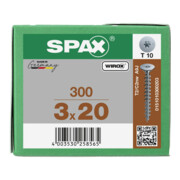 Spax Vis pour paroi arrière 3 x 20 sans tête T-STAR PLUS T10 VG