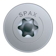 Spax Vis pour paroi arrière 4 x 20 sans tête T-STAR PLUS T10 VG-2