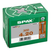 Spax Vis pour paroi arrière 4 x 20 sans tête T-STAR PLUS T10 VG-5