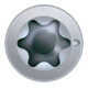 Spax Vis universelle 3 x 16 mm Tête fraisée T-STAR plus Filetage complet Pointe S WIROX A3J
