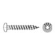 Spax Vis universelle 5 x 60 mm Tête demi-ronde T-STAR plus Filetage complet 4CUT WIROX A3J