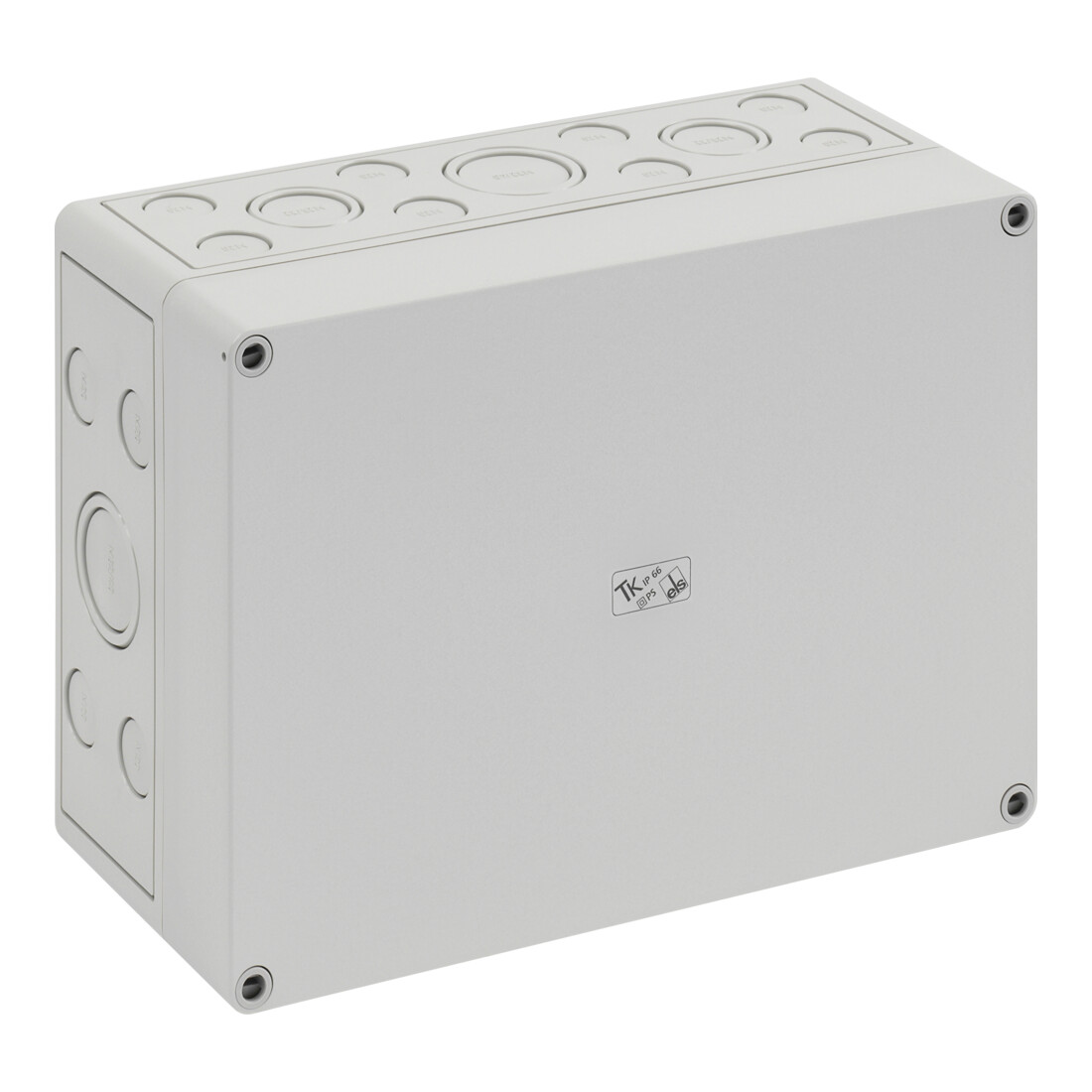 Spelsberg Leergehäuse IP66 TK PS 2518-11-m