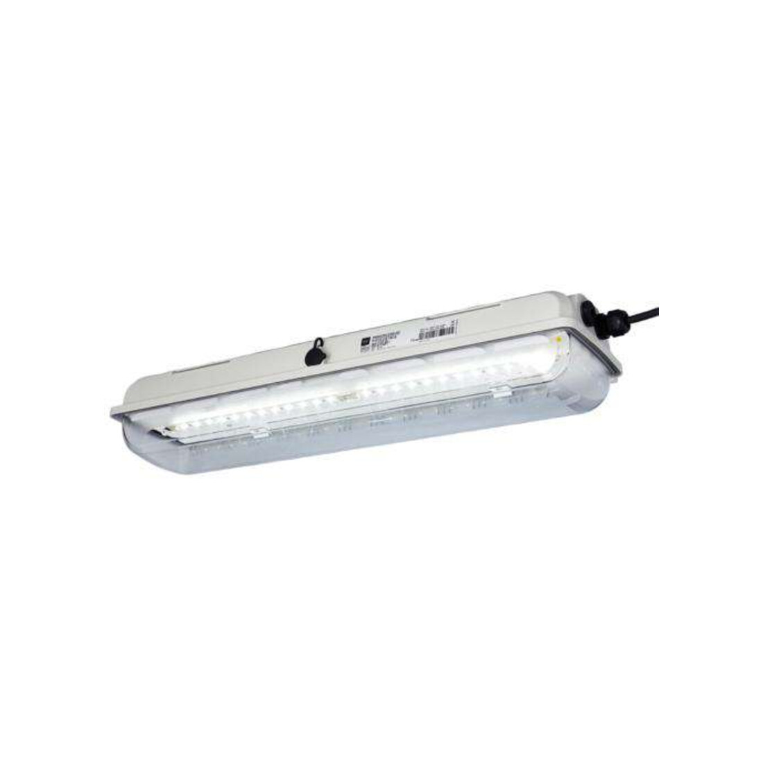 Stahl Luminaire LED Ex longue 6002/4148-010, 267074