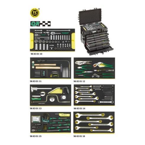 Stahlwille Assortimento di utensili per velivoli (kit AOG) in trolley n.13224A WT/TS, 154pz.