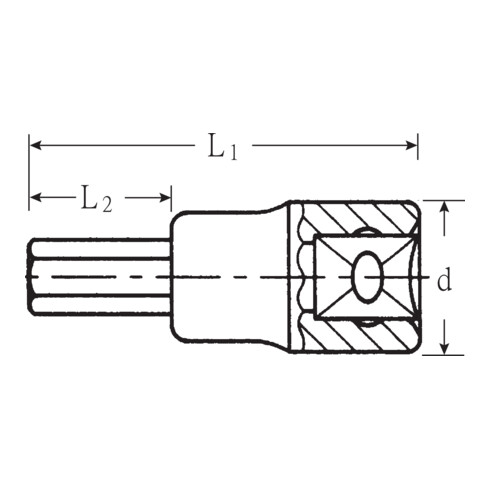 Stahlwille Inserti INHEX 49a
