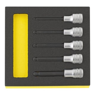 Stahlwille Satz Schraubendrehereinsätze INHEX TCS 54KK/5 5 tlg.
