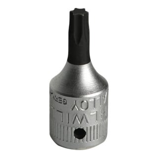 Stahlwille Schraubendrehereinsatz (1/4") TX