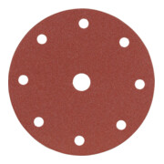 Starcke Papier-Klett-Schleifscheibe (A) Lochung 8fach + 1,⌀ 150 mm, Körnung: 320