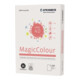 Steinbeis Kopierpapier MagicColour K2601555080A grün 500 Bl./Pack.