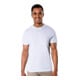 STIER basic T-shirt XXL wit