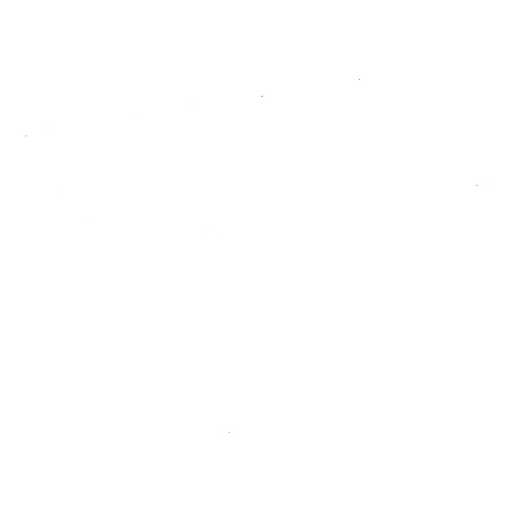 STIER Bureau debout électrique réglable en hauteur 501-9 80 × 60 cm noyer