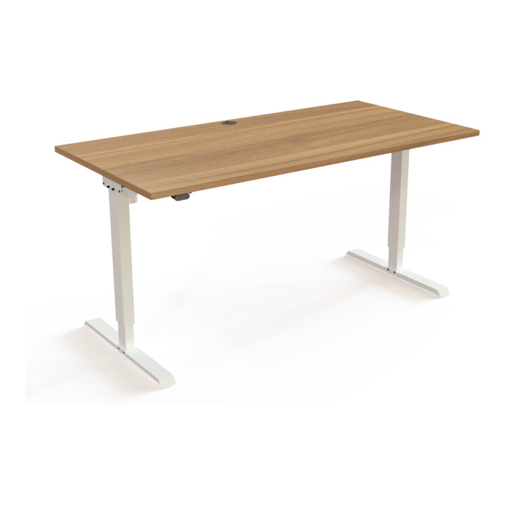 STIER Bureau électrique réglable en hauteur 501-20 160 x 80 cm Noyer Blanc