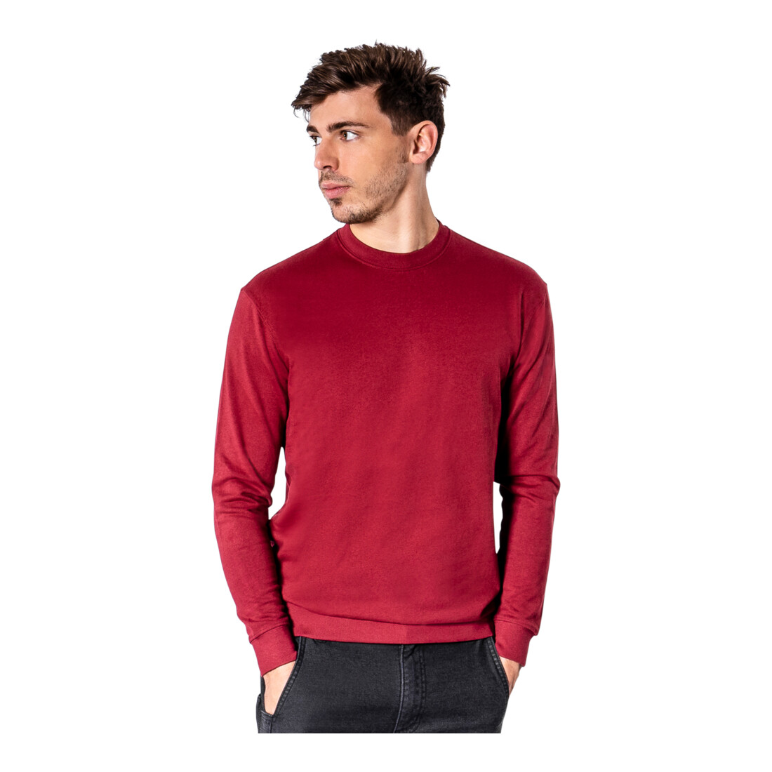 STIER Crew Sweat Style Print organic cotton